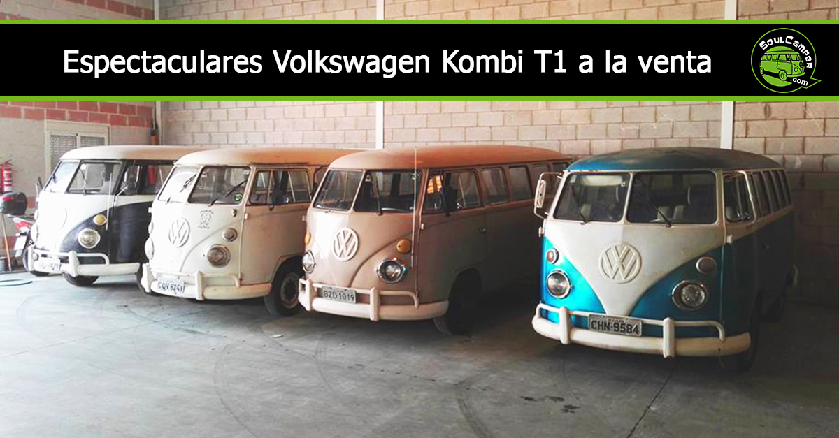 Encadenar pesadilla tono Furgonetas Volkswagen T1 kombi en Venta | SoulCamper